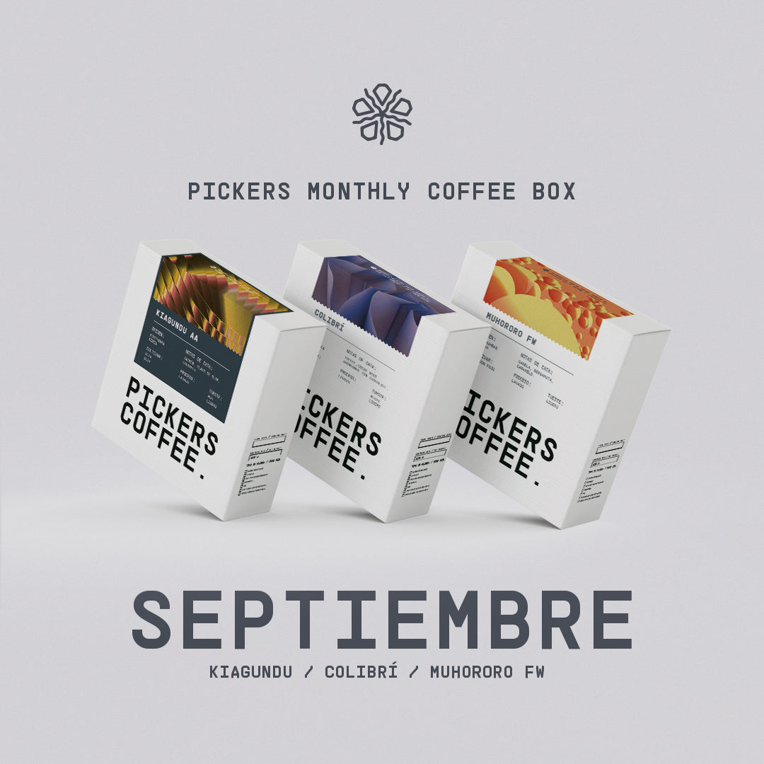 Pickers Monthly Coffee Box