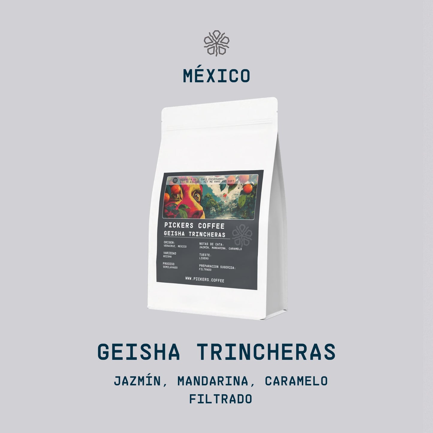 Pickers Coffee - Gesha Trincheras