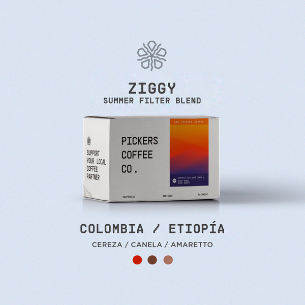 Pickers Coffee - ZIGGY - Summer Filter Blend